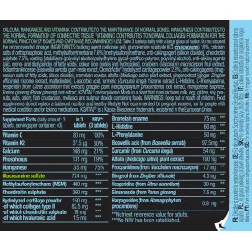 Biotech USA Arthro Forte (120 tabs)