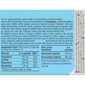 Biotech USA Chondroitin Glucosamine (60 Kaps)