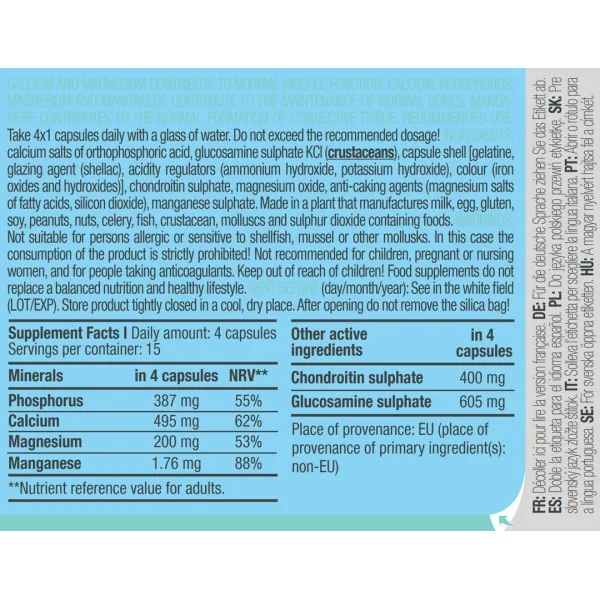 Biotech USA Chondroitin Glucosamine (60 Kaps)